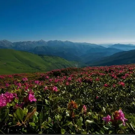 Dolcemente Couette-café Piaggia