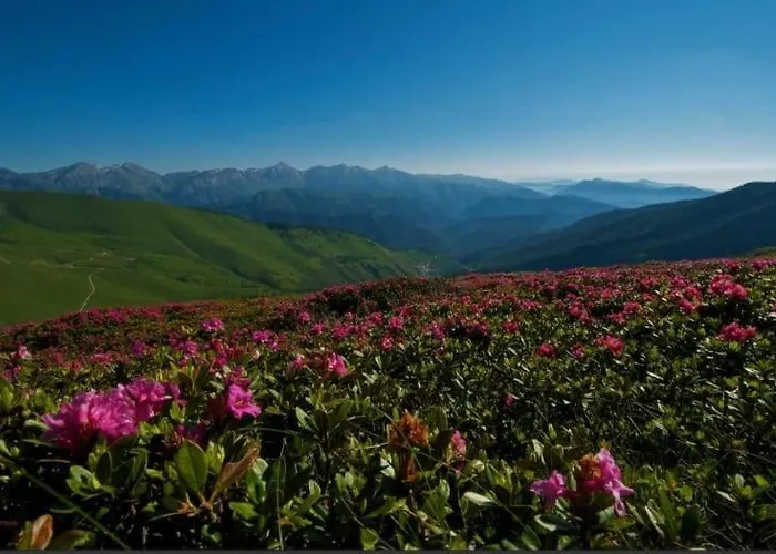 Dolcemente ベッド・アンド・ブレックファスト Piaggia